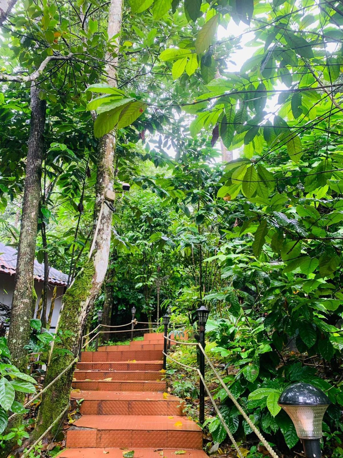 The Mountain Shades Resort Madikeri Exterior foto